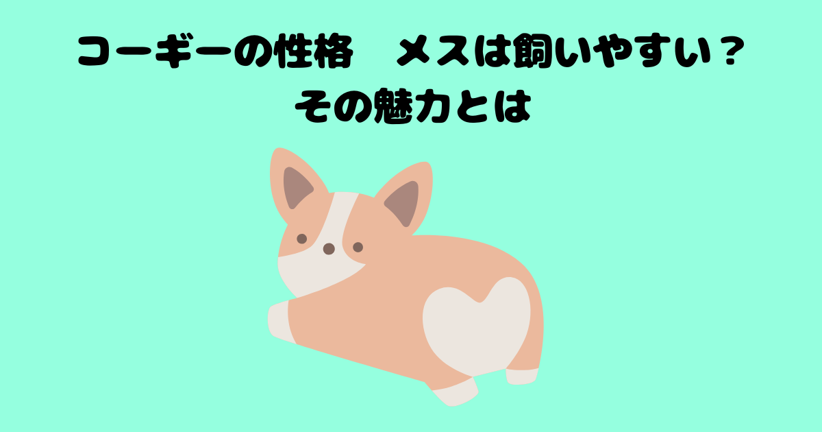 コーギーの記事のアイキャッチ画像