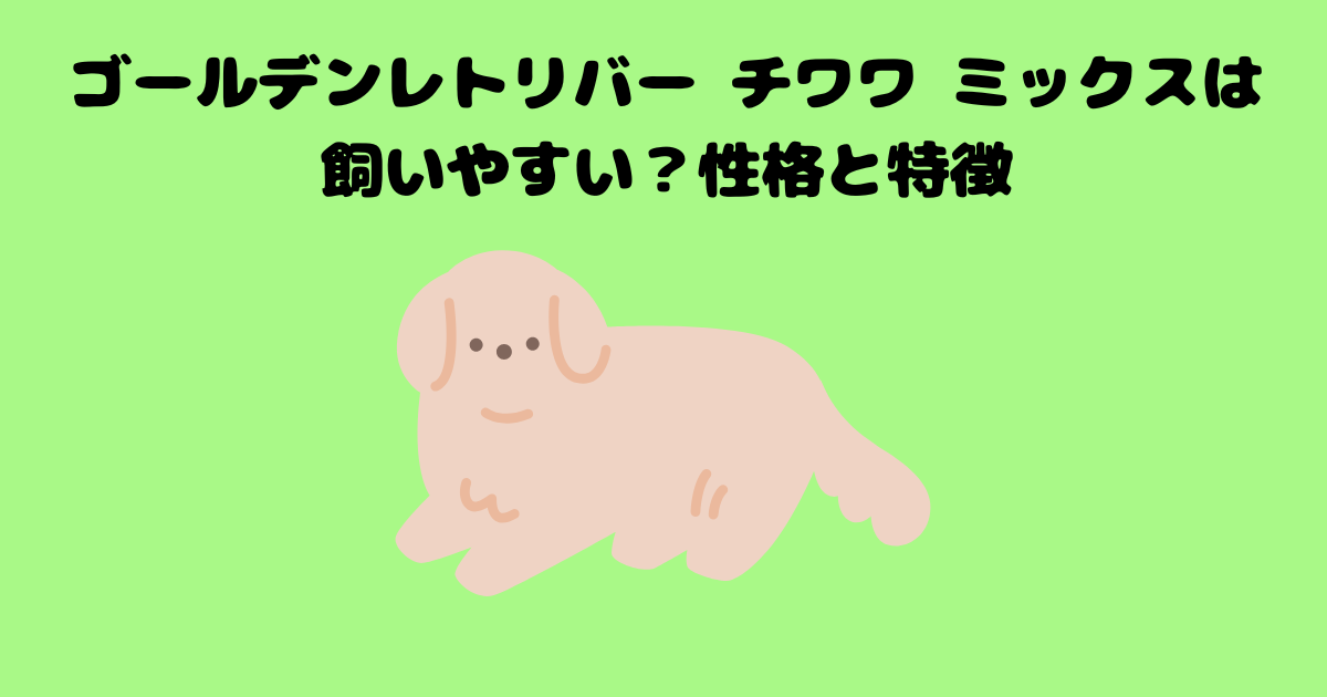 ゴールデンレトリバー チワワ ミックスは飼いやすい？性格と特徴