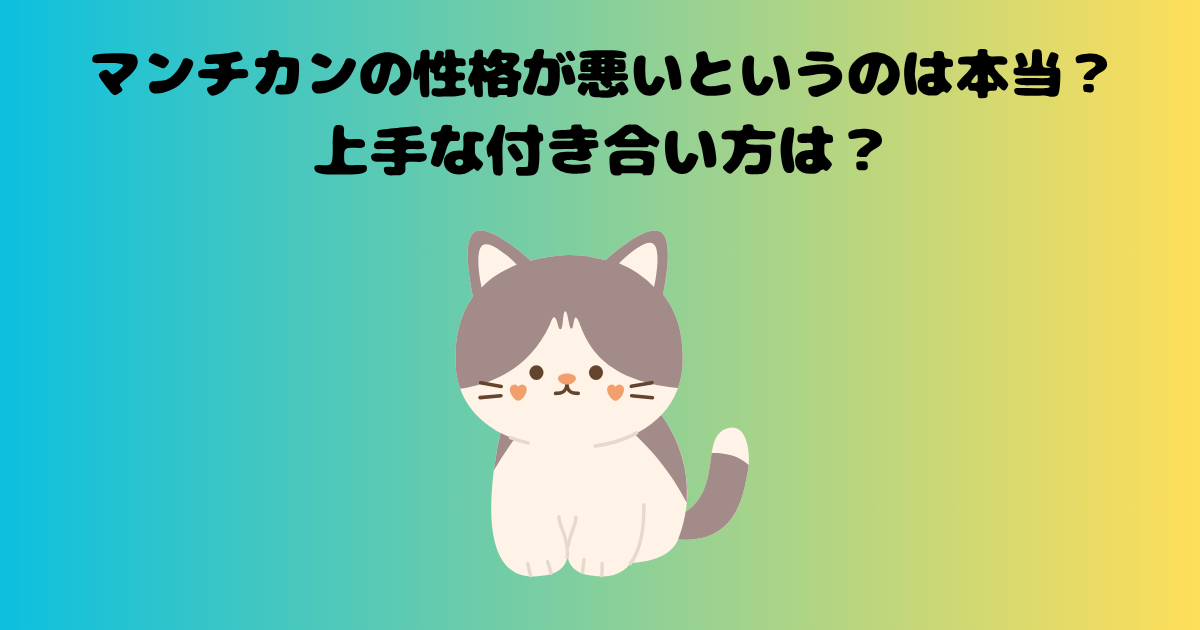 マンチカンの記事のアイキャッチ画像
