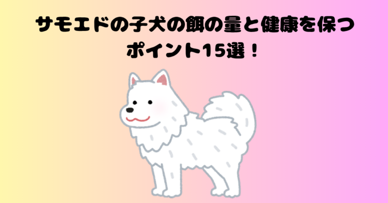 サモエドの子犬の餌の量と健康を保つポイント15選！