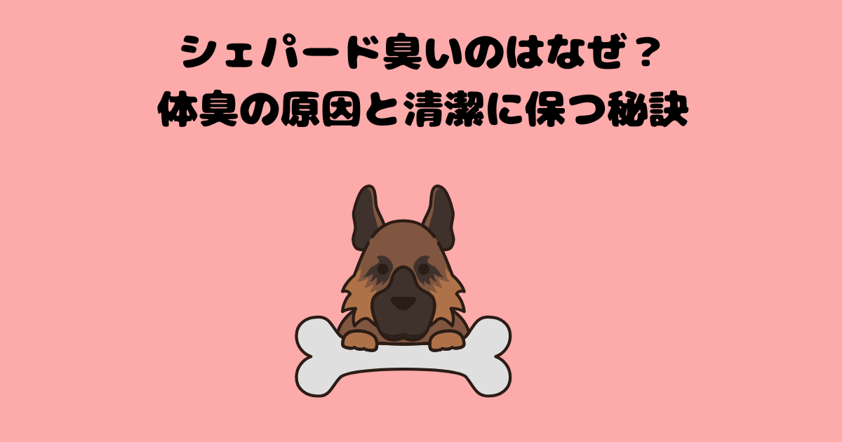 シェパードの記事のアイキャッチ画像