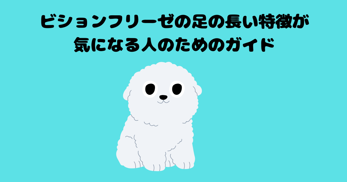 ビションフリーゼの足の長い特徴が気になる人のためのガイド