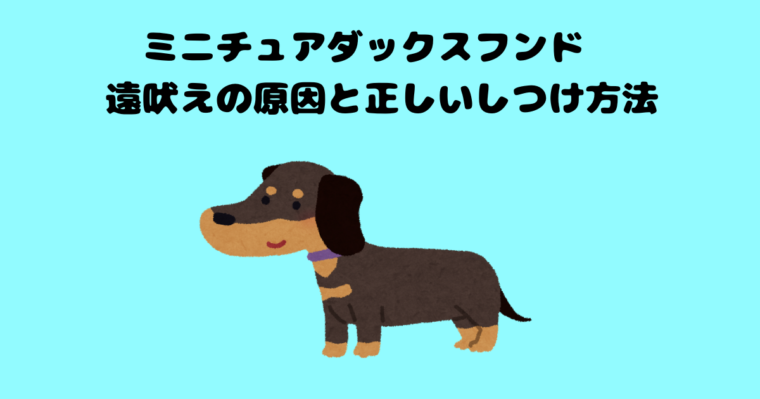 ミニチュアダックスフンドの記事のアイキャッチ画像