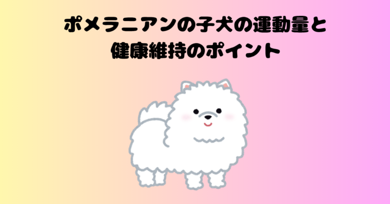 ポメラニアンの記事のアイキャッチ画像