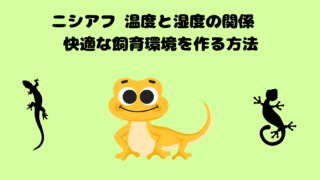 ニシアフ 温度と湿度の関係　快適な飼育環境を作る方法
