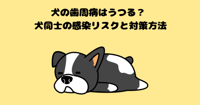 犬の記事のアイキャッチ画像