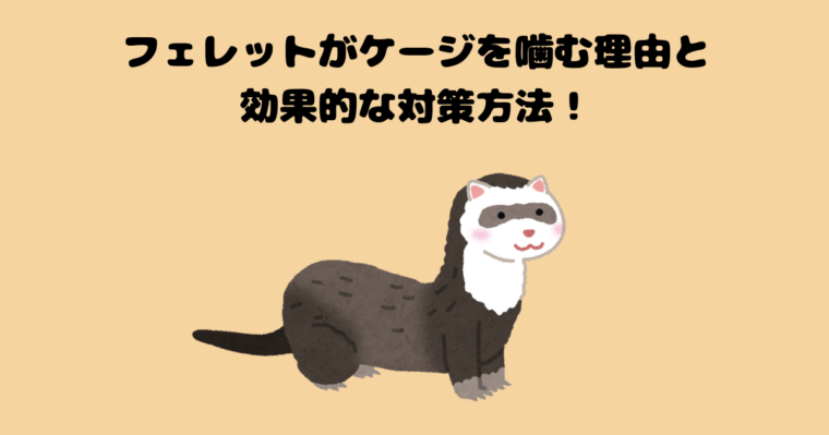 フェレットのアイキャッチ画像