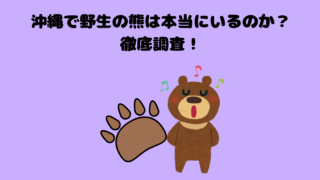 沖縄で野生の熊は本当にいるのか徹底調査!