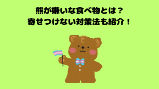 熊が嫌いな食べ物とは?寄せつけない対策法も紹介!