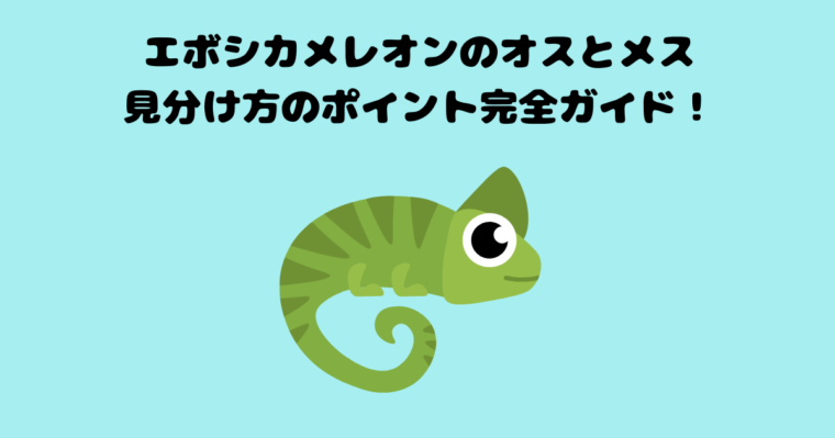 エボシカメレオンの記事のアイキャッチ画像