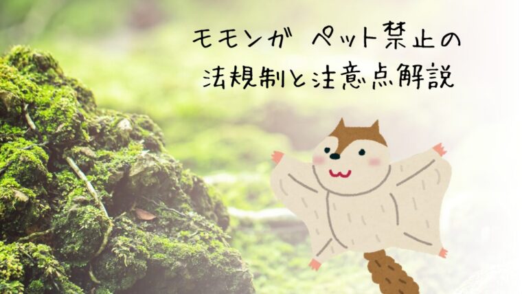 モモンガの記事のアイキャッチ画像