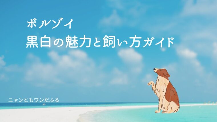 ボルゾイの記事のアイキャッチ画像
