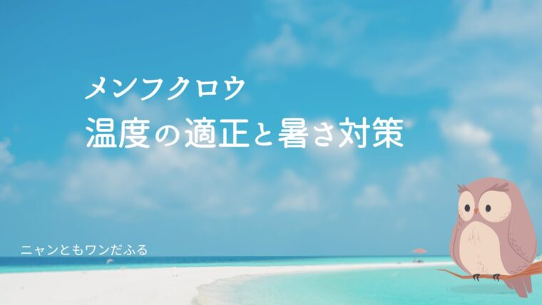メンフクロウの記事のアイキャッチ画像