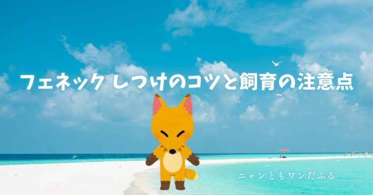 フェネックの記事のアイキャッチ画像
