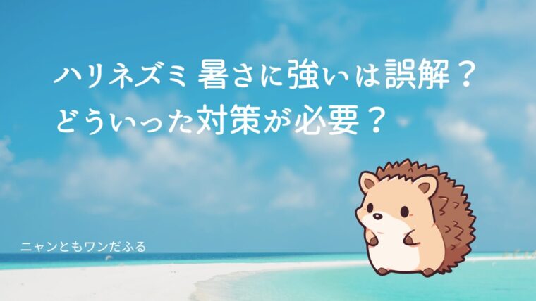 ハリネズミの記事のアイキャッチ画像