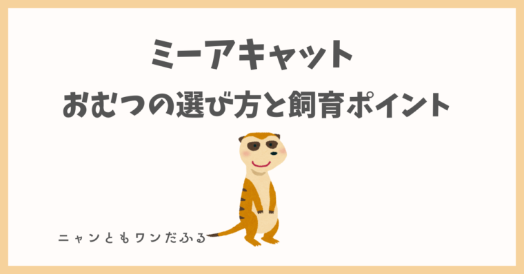 ミーアキャットの記事のアイキャッチ画像