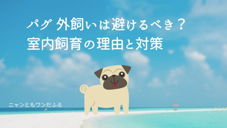 パグの記事のアイキャッチ画像