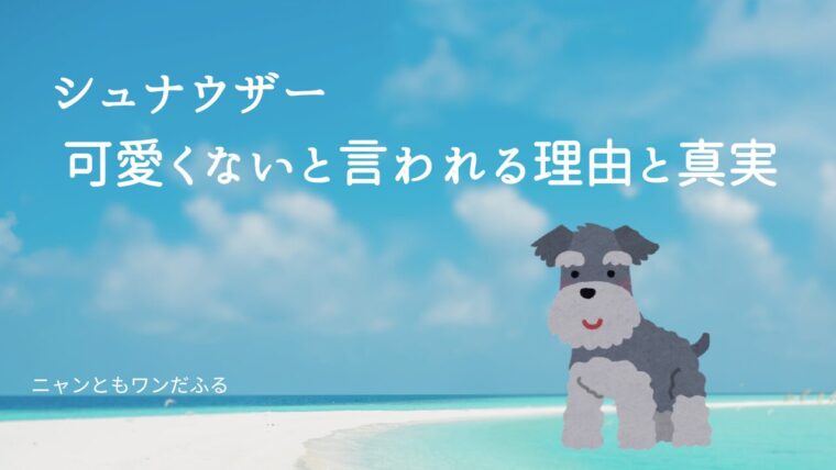 シュナウザーの記事のアイキャッチ画像