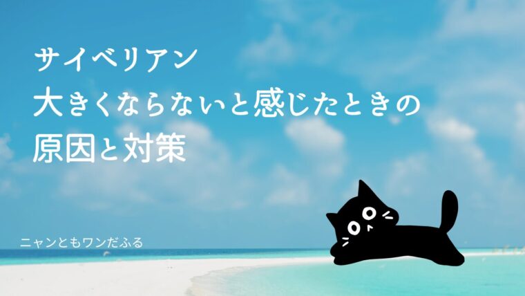 サイベリアンの記事のアイキャッチ画像