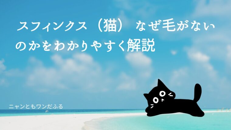 スフィンクスの記事のアイキャッチ画像