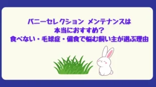 バニーセレクション メンテナンスは本当におすすめ？食べない・毛球症・偏食で悩む飼い主が選ぶ理由